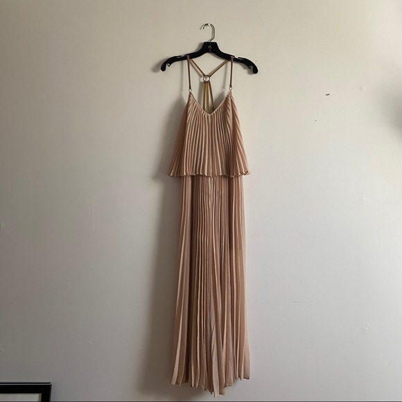 BCBG Joelle Pleated Maxi Dress - Picture 4 of 9